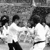 bruce_lee_449.jpg
