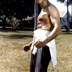 Bruce Lee