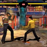 Bruce Lee Dragon Warrior