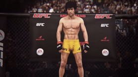 bruce-lee-ufc