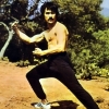 Bruce Lee en entrainement à l\'extérieur