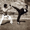 Bruce Lee contre Bolo Yeung dans Opération Dragon (Enter the Dragon)