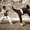 Bruce Lee contre Bolo Yeung dans Opération Dragon (Enter the Dragon)