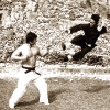 Bruce Lee contre Bolo Yeung dans Opération Dragon (Enter the Dragon)