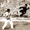 Bruce Lee contre Bolo Yeung dans Opération Dragon (Enter the Dragon)